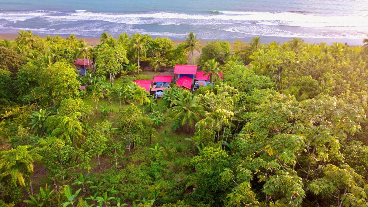 Tortuga Bay Eco Hotel El Valle  Exterior foto